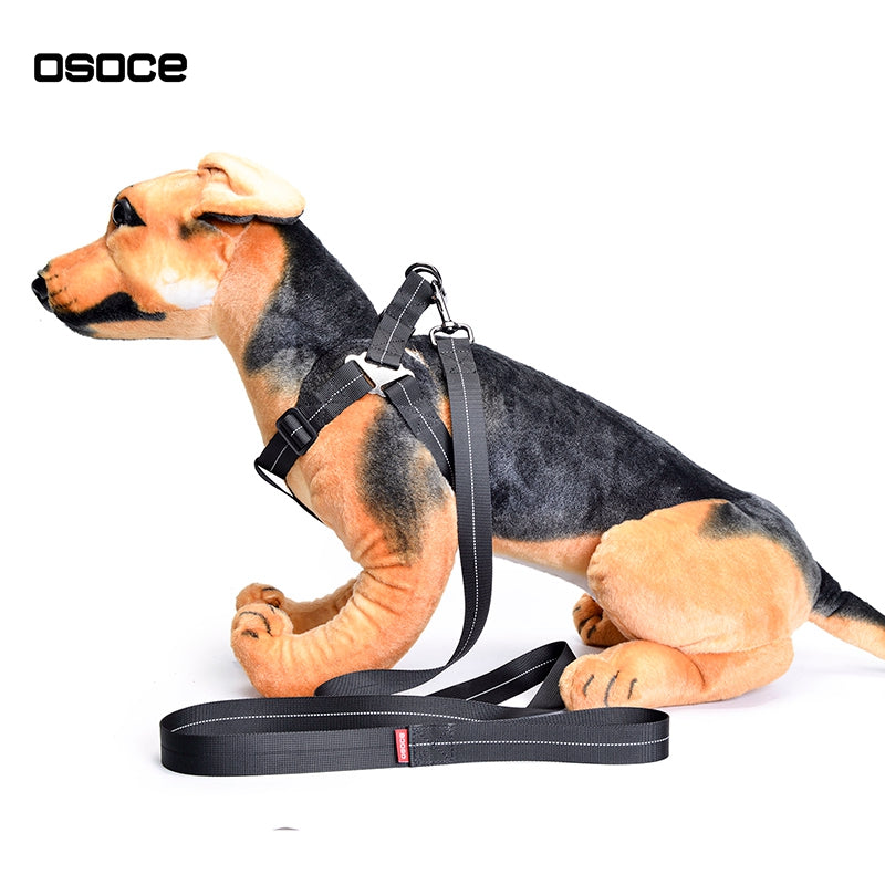 OSOCE C13 Dog Leash