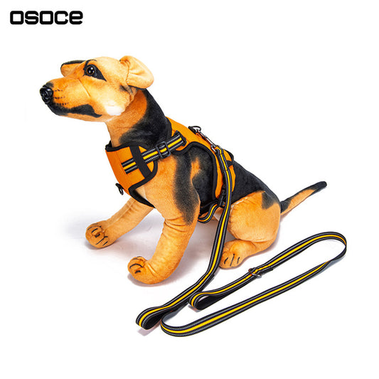 OSOCE C43 Pet Dog Leash